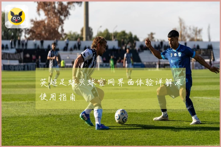 英超足球买球官网界面体验详解及使用指南
