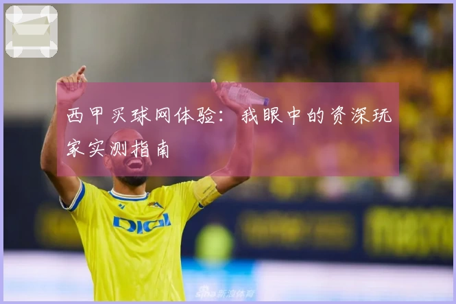 西甲买球网体验：我眼中的资深玩家实测指南